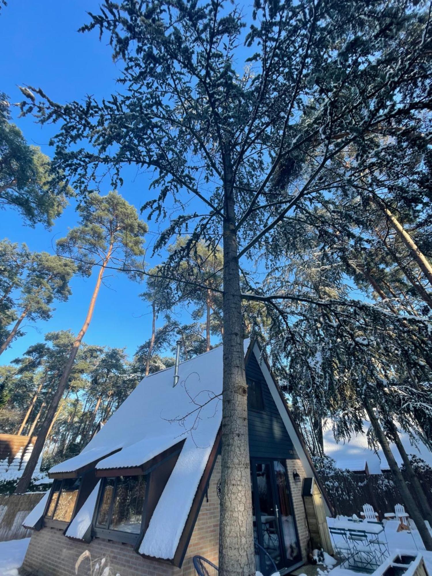 Boshuisje Pinus Sonnevijver Residences 拉纳肯 外观 照片