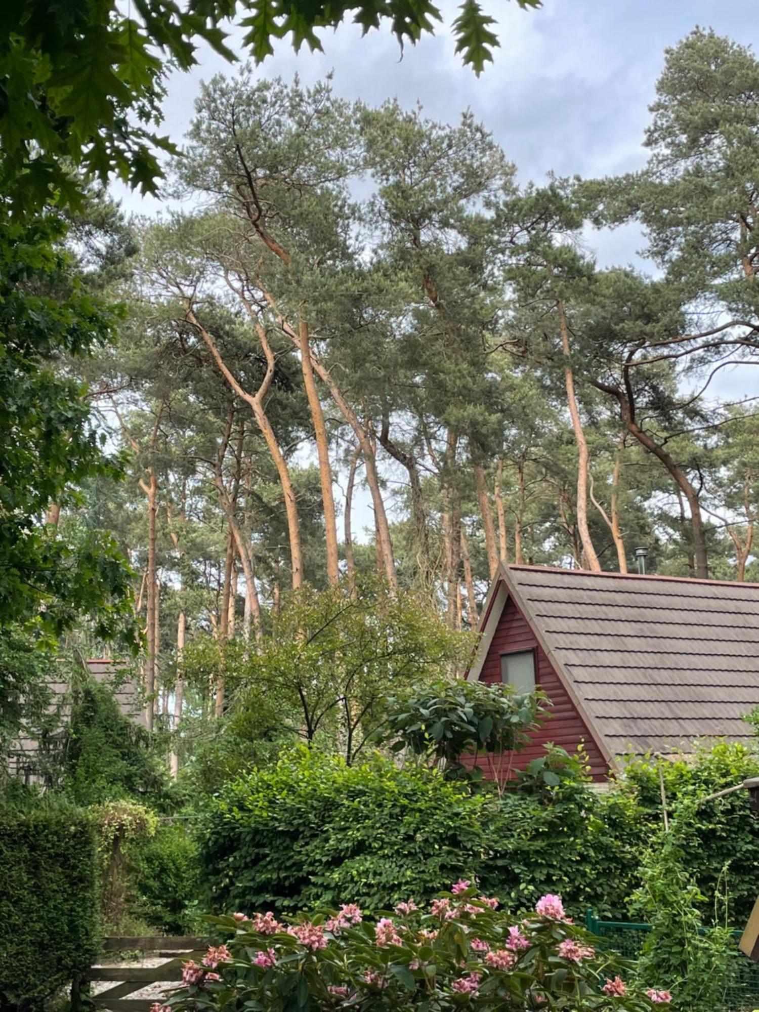 Boshuisje Pinus Sonnevijver Residences 拉纳肯 外观 照片